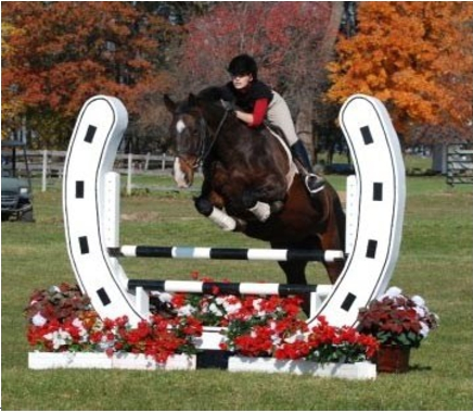 Horse Shoe Jump