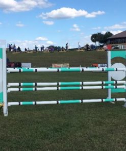 Wooden Teal Circle