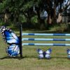 Butterfly Showjump