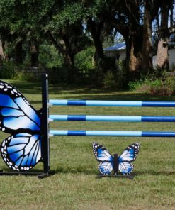 Butterfly Showjump