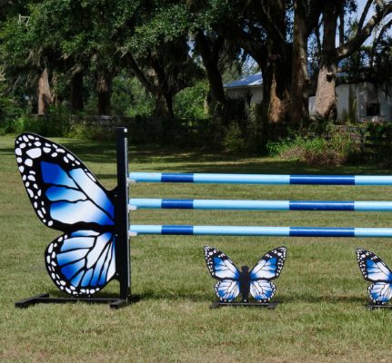 Butterfly Showjump